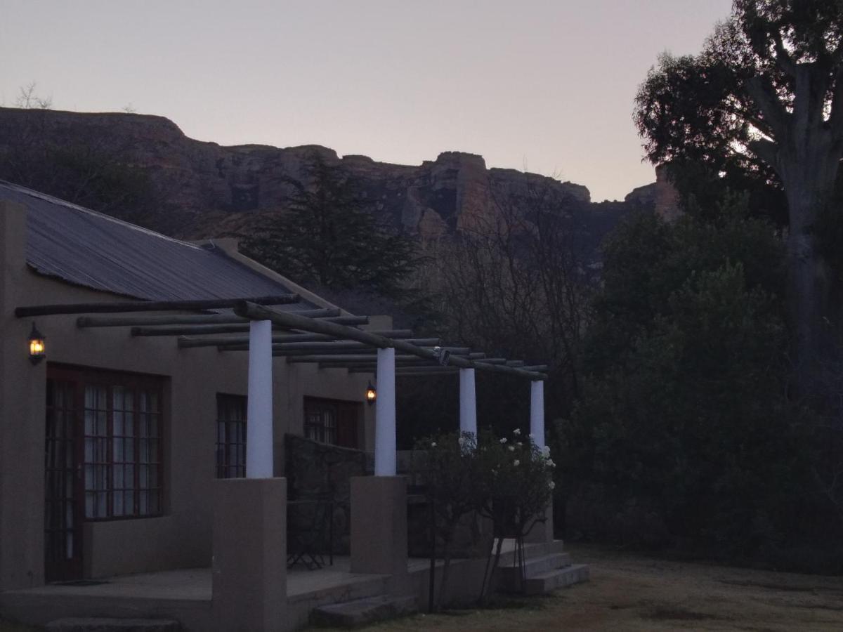 Lodge Vultures